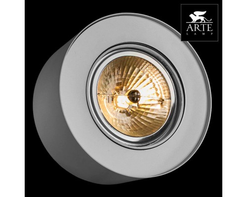 Потолочный светильник Arte Lamp Cliff A5643PL-1WH Потолочный светильник Arte Lamp Cliff A5643PL-1WH