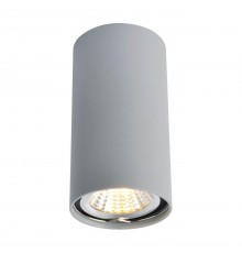 Потолочный светильник Arte Lamp A1516PL-1GY
