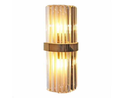 Настенный светильник ST Luce Arezzo SL1176.201.02 Настенный светильник ST Luce Arezzo SL1176.201.02