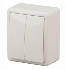 Выключатель двухклавишный ЭРА Эксперт 10AX 250V 11-1204-02 Б0020664