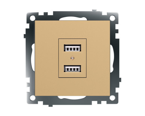 Розетка 2хUSB Stekker Катрин золото GLS10-7115-08 49229 Розетка 2хUSB Stekker Катрин золото GLS10-7115-08 49229