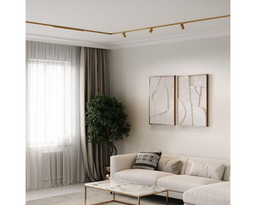 Трековый светодиодный светильник Elektrostandard Brass Line 85529/01 a069637