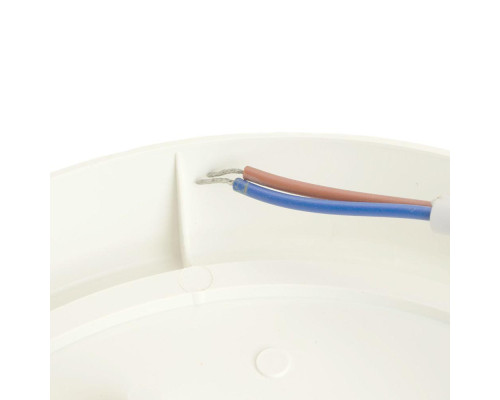 Потолочный светодиодный светильник Feron AL3006 48994 Потолочный светодиодный светильник Feron AL3006 48994