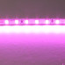 Светодиодная лента Lightstar 12W/m 120LED/m розовый 5M 420512