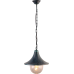 Уличный подвесной светильник Arte Lamp Malaga A1085SO-1BG