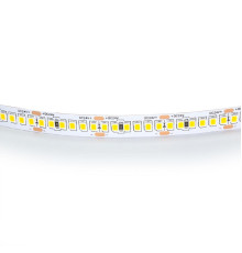 Светодиодная лента Lightstar 24W/m 240LED/m дневной белый 5M 421024