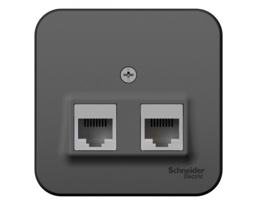 Розетка компьютерная двойная RJ45 Systeme Electric Blanca 5e кат UTP антрацит BLNIA045456 Розетка компьютерная двойная RJ45 Systeme Electric Blanca 5e кат UTP антрацит BLNIA045456