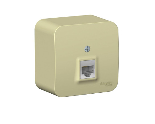 Розетка компьютерная 1хRJ45 Systeme Electric Blanca кат.5E бежевая BLNIA045007 Розетка компьютерная 1хRJ45 Systeme Electric Blanca кат.5E бежевая BLNIA045007