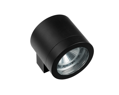 Уличный настенный светильник Lightstar Paro 350617 Уличный настенный светильник Lightstar Paro 350617