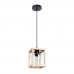 Подвесной светильник Arte Lamp Dublin A7025SP-1BK