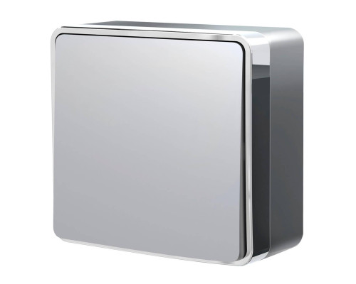 Выключатель одноклавишный проходной Werkel Gallant серебряный W5012006 4690389167096 Выключатель одноклавишный проходной Werkel Gallant серебряный W5012006 4690389167096