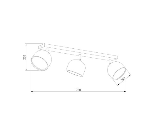 Спот TK Lighting 3421 Altea Black