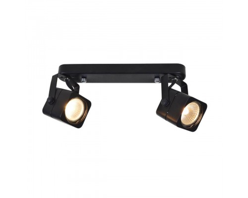 Спот Arte Lamp Lente A1314PL-2BK