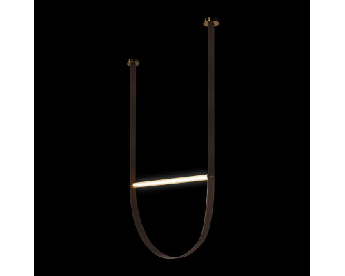 Подвесной светодиодный светильник Loft IT Liana 10221/2050