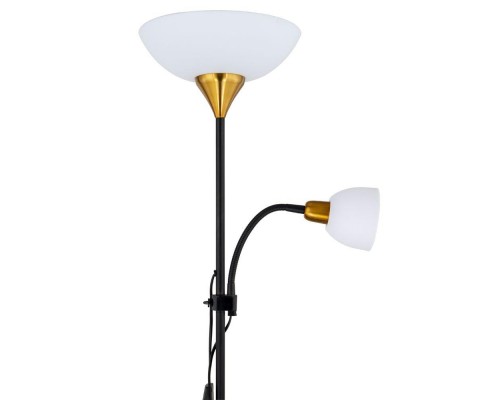 Торшер Arte Lamp Duetto A9569PN-2BK