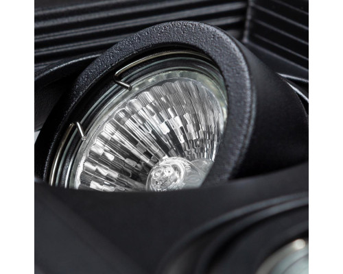 Встраиваемый светильник Arte Lamp Canis A6661PL-2BK Встраиваемый светильник Arte Lamp Canis A6661PL-2BK