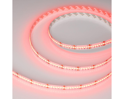 Светодиодная лента Arlight 7,2W/m 840Led/m CSP разноцветный/холодный белый 5M CSP-X840-12mm 24V RGBW-White 046935 Светодиодная лента Arlight 7,2W/m 840Led/m CSP разноцветный/холодный белый 5M CSP-X840-12mm 24V RGBW-White 046935