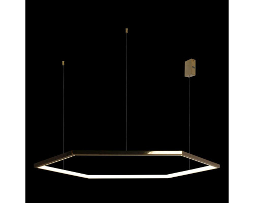 Подвесной светодиодный светильник Loft IT Ring 10016XXL Подвесной светодиодный светильник Loft IT Ring 10016XXL