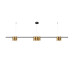 Подвесная люстра Denkirs Orbit DK4063-BK+SG