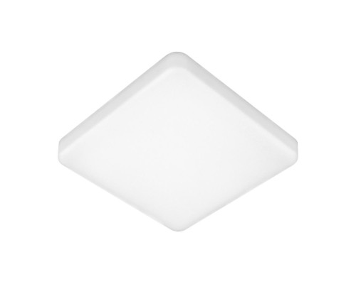 Потолочный светодиодный светильник Elektrostandard DLS043 10W 4200K a047941 Потолочный светодиодный светильник Elektrostandard DLS043 10W 4200K a047941