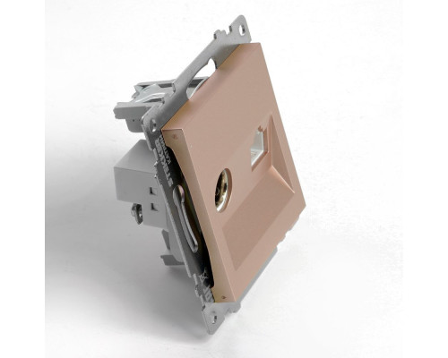 Розетка телевизионная TV + компьютерная RJ-45 Stekker Катрин шампань GLS00-7106-02 49184 Розетка телевизионная TV + компьютерная RJ-45 Stekker Катрин шампань GLS00-7106-02 49184