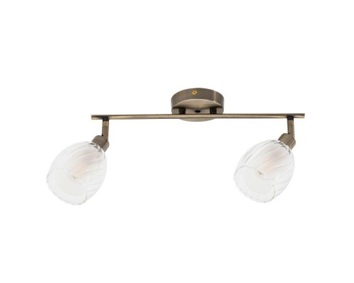 Спот Arte Lamp Biham A3184PL-2AB