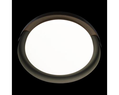 Потолочный светодиодный светильник Loft IT Coin 10198 Black Потолочный светодиодный светильник Loft IT Coin 10198 Black