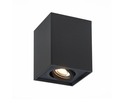 Потолочный светильник ST Luce ST109.407.01 Потолочный светильник ST Luce ST109.407.01