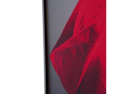 Картина Lumina Deco FP Red Hat 50-70 Картина Lumina Deco FP Red Hat 50-70
