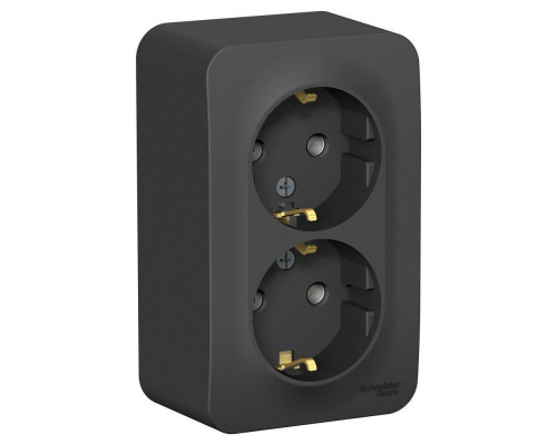 Розетка двойная 2К+З Systeme Electric Blanca 16A 250V антрацит BLNRA010206 Розетка двойная 2К+З Systeme Electric Blanca 16A 250V антрацит BLNRA010206