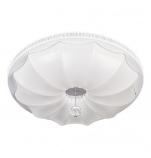 Потолочный светодиодный светильник Escada 10231/S LED