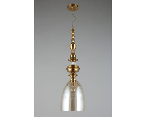 Подвесной светильник Aployt Rena APL.602.06.01