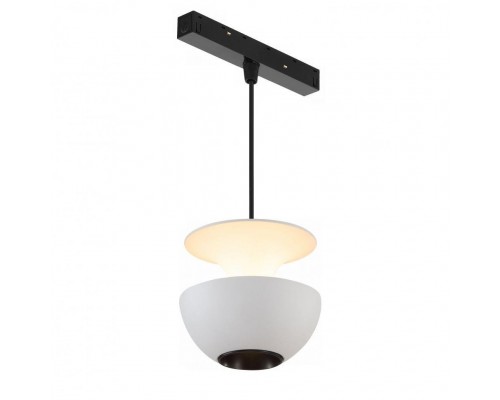 Трековый светодиодный светильник iLedex Technical Vision 4822-012-D80-6W-38DG-4000K-WH Трековый светодиодный светильник iLedex Technical Vision 4822-012-D80-6W-38DG-4000K-WH