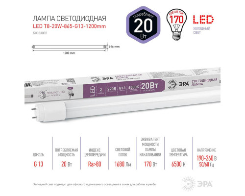 Лампа светодиодная ЭРА G13 20W 6500K матовая LED T8-20W-865-G13-1200mm Б0033005