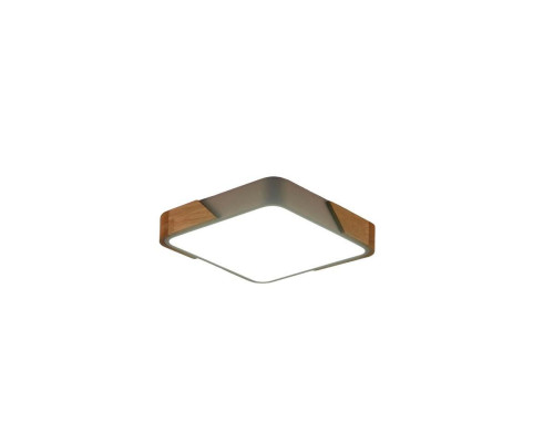 Потолочный светильник Zortes ALBERRO ZRS.01285.60 Потолочный светильник Zortes ALBERRO ZRS.01285.60