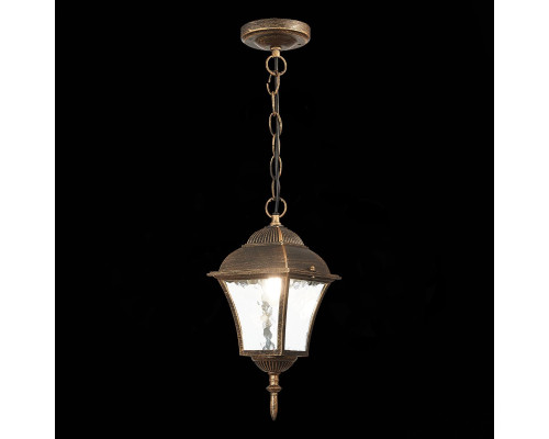 Уличный подвесной светильник ST Luce Domenico SL082.203.01 Уличный подвесной светильник ST Luce Domenico SL082.203.01