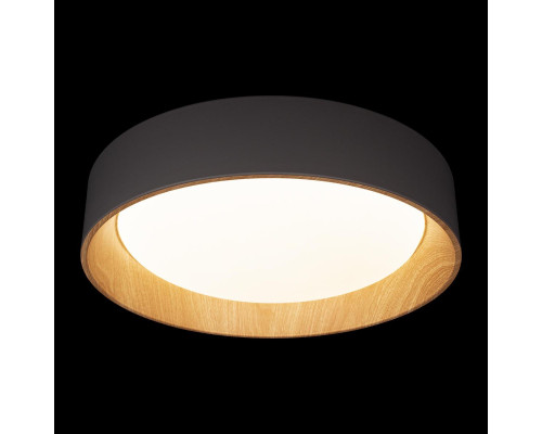 Потолочный светодиодный светильник Loft IT Coin 10202 Grey Потолочный светодиодный светильник Loft IT Coin 10202 Grey