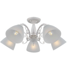 Люстра Illumico IL0232-5CSQ-24 SS SPICA