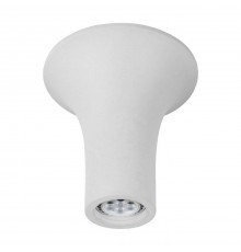 Потолочный светильник Arte Lamp A9461PL-1WH