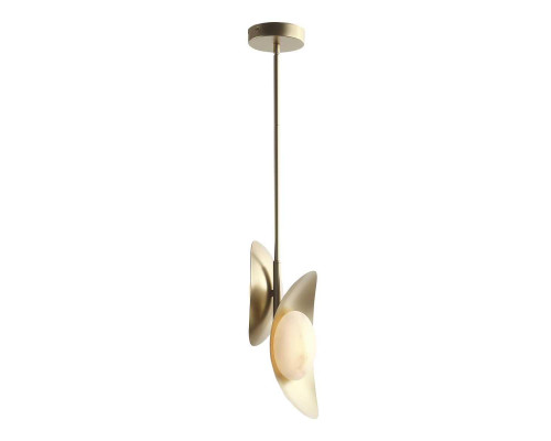 Подвесной светильник ST Luce SL6229.203.02 Подвесной светильник ST Luce SL6229.203.02