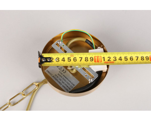 Подвесная люстра Aployt Franko APL.601.16.03 Подвесная люстра Aployt Franko APL.601.16.03