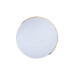 Потолочный светодиодный светильник Loft IT Axel 10004/36 white