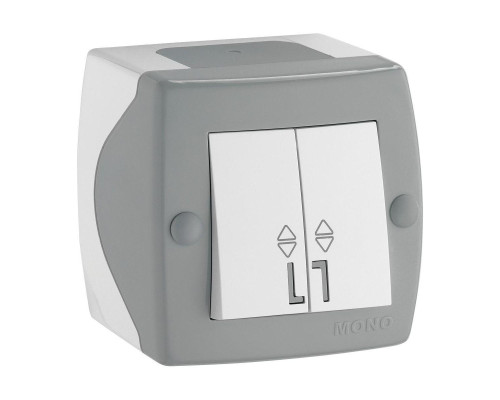 Выключатель Mono Electric Octans IP20 двухклавишный проходной бело-серый 104-020001-111 Выключатель Mono Electric Octans IP20 двухклавишный проходной бело-серый 104-020001-111