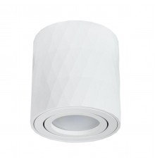 Потолочный светильник Arte Lamp Fang A5559PL-1WH