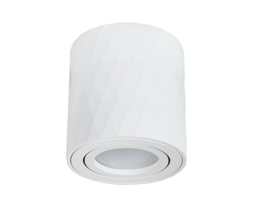 Потолочный светильник Arte Lamp Fang A5559PL-1WH Потолочный светильник Arte Lamp Fang A5559PL-1WH