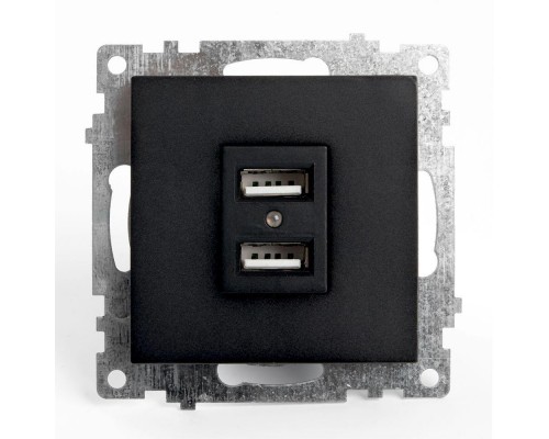 Розетка 2хUSB Stekker Катрин черный GLS10-7115-05 39616 Розетка 2хUSB Stekker Катрин черный GLS10-7115-05 39616