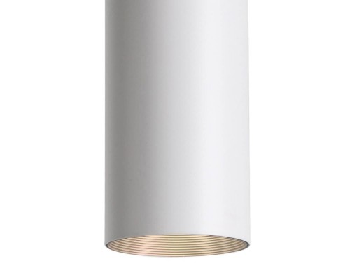 Потолочный светодиодный светильник Favourite Drum 2248-1U
