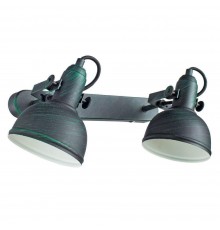 Спот Arte Lamp Martin A5213AP-2BG