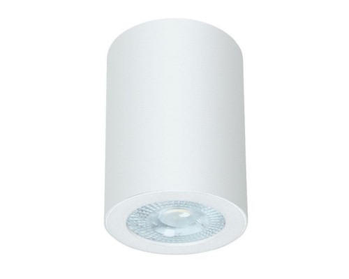 Потолочный светильник Arte Lamp Tino A1468PL-1WH