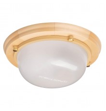 Настенно-потолочный светильник TDM Electric Терма НББ 03-60-013 SQ0303-0442